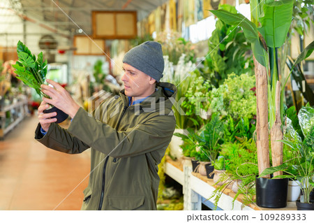 Man choosing replica plants in store 109289333