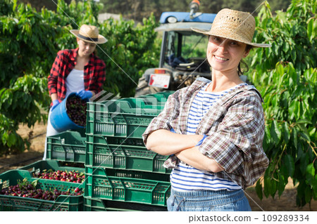 Portrait of a smiling farmer woman standing in a fruit nursery 109289334