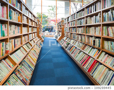 Library image: bookshelves lined up in an orderly manner 109289445