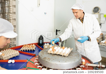 Young man farmer in white coat holding special tray with fresh chicken eggs after sorting and labeling on farm 109289500
