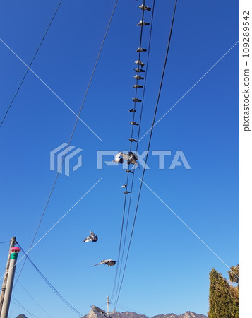 concrete mixer with concrete mixer 109289542