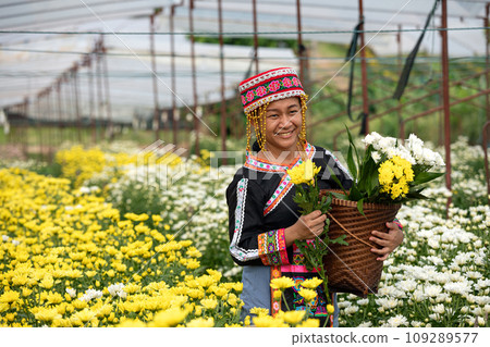 Hmong Woman holding Vibrant Yellow and White Chrysanthemums in Blooms and basket Hmong Woman holding Vibrant Yellow and White Chrysanthemums in Blooms and basket 109289577