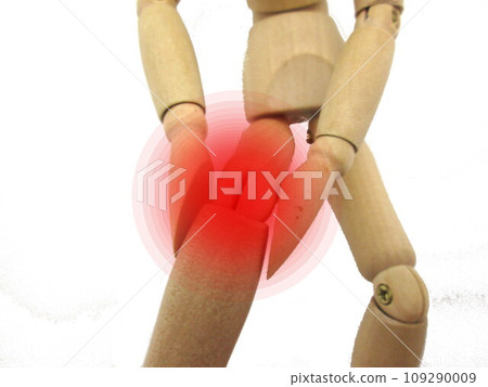 My knees hurt. 109290009