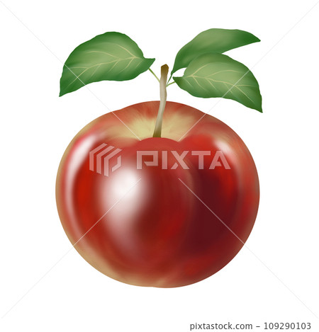 Illustration of red apple 109290103