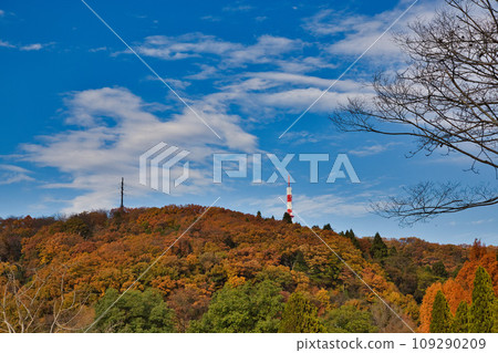 Landmark in full autumn leaves Landmark in full autumn leaves 109290209