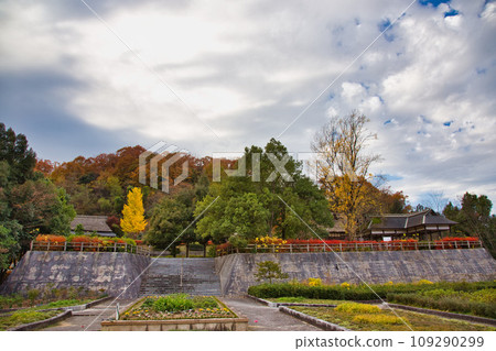Landmark in full autumn leaves 109290299