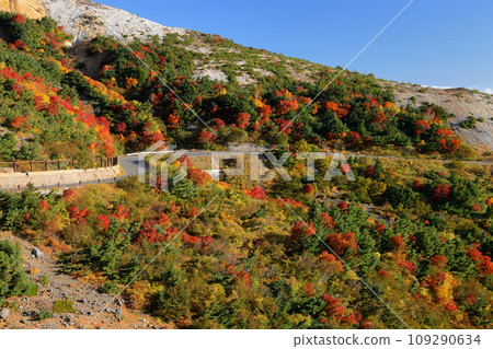 連接福島縣福島市高湯溫泉和土湯峠的萬代東天際線鴨鹿澤附近的秋葉 109290634