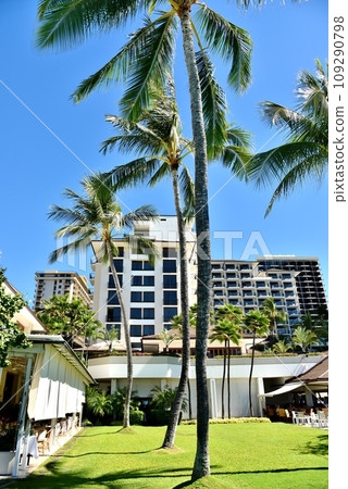 Holidays in Hawaii Holidays in Hawaii 109290798