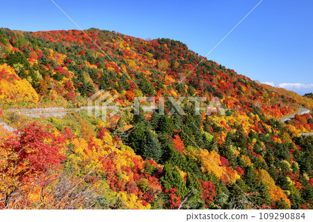 Fukushima City, Fukushima Prefecture: Autumn leaves near Otomezawa on Bandai Azuma Skyline, which connects Takayu Onsen and Tsuchiyu Pass 109290884
