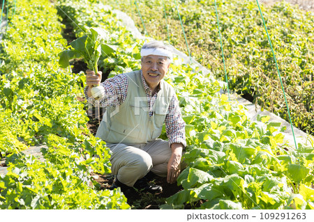 Elderly man working in the field 109291263