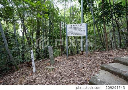 一宮城神宮寺遺址 一宮城神宮寺遺址 109291343
