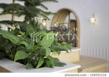 Interior of stylish white and green room Interior of stylish white and green room 109291516