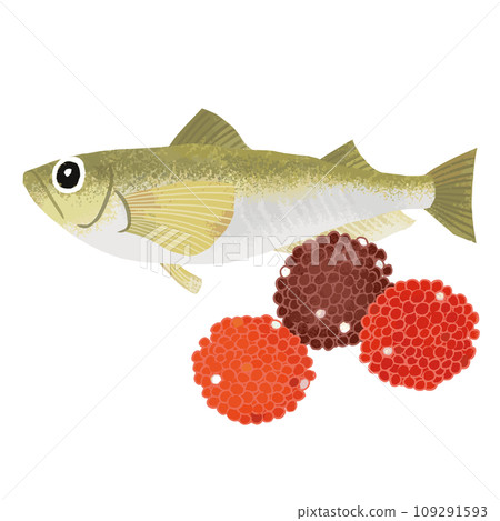 Watercolor style illustration of sandfish and buriko 109291593