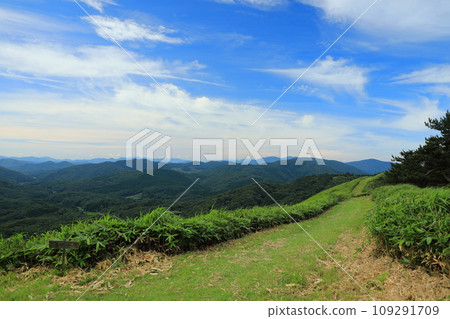 Mountains of the Chugoku Mountains seen from Mt. Ungetsu (Kitahiroshima Town, Yamagata District, Hiroshima Prefecture, Japan) Mountains of the Chugoku Mountains seen from Mt. Ungetsu (Kitahiroshima Town, Yamagata District, Hiroshima Prefecture, Japan) 109291709