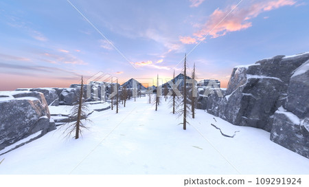 Snowy field 109291924