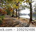 Hijiyamashita, Minami Ward, Hiroshima City, Hiroshima Prefecture Kyobashi River Autumn Promenade Tsurumi Bridge 109292486