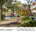 Hijiyamashita, Minami Ward, Hiroshima City, Hiroshima Prefecture Kyobashi River Autumn Promenade Higashihiroshima Bridge 109292621