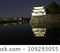 Nagoya Castle illuminated 109293055