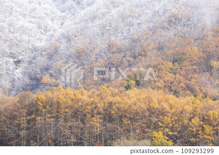 紅葉和雪（蒜山高原） 109293299