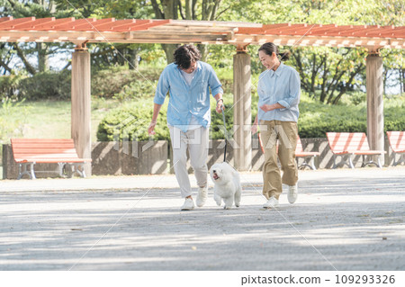 Couples walking their dogs, dog lovers, owners, pet sitters, families Couples walking their dogs, dog lovers, owners, pet sitters, families 109293326