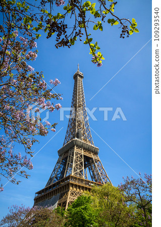 Eiffel Tower, Paris, France Eiffel Tower, Paris, France 109293540