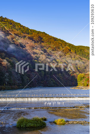 在早上的渡月橋 109293610