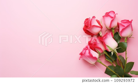 Elegant Pink and Red Rose Bouquet on Pastel Pink Background 109293972