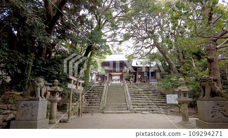 Shikaumi Shrine in Fukuoka 109294271