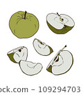 A set of hand-drawn sketches with apples. Illustrations with whole and cut fruits. Collection of isolated objects on a white background 109294703