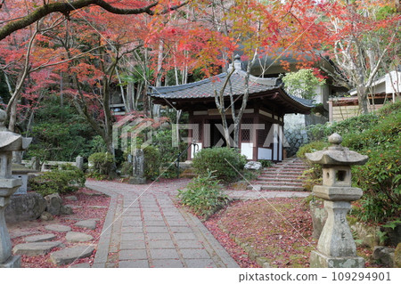 Mitakidera in autumn 109294901