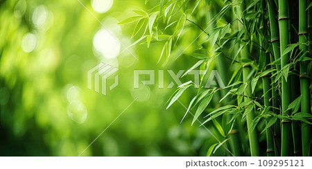 Bamboo Background, Generative AI Bamboo Background, Generative AI 109295121