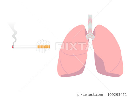 cigarettes and lungs 109295451