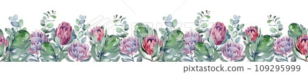 Watercolor tropical seamless border on isolated background. African protea flower evergreen shrub. Eucalyptus botanical ornament. 109295999