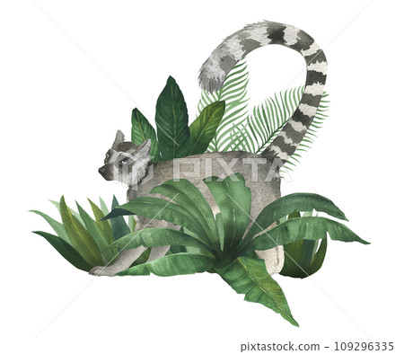 Watercolor illustration of lemur in the bushes of tropical plants. Hand drawn, isolated. Suitable for decorating a children's room design Watercolor illustration of lemur in the bushes of tropical plants. Hand drawn, isolated. Suitable for decorating a children's room design 109296335
