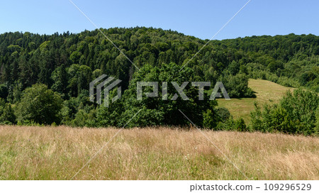 Beautiful summer landscape and horizon in the clear sky and green forest. Beautiful summer landscape and horizon in the clear sky and green forest. 109296529