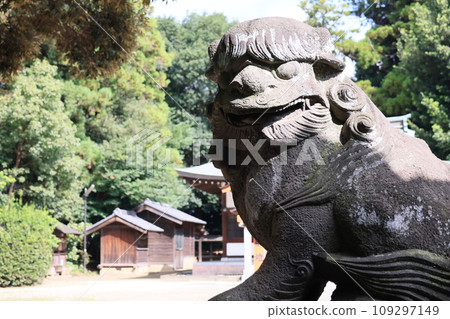 Guardian dogs at Hikawa Shrine in Ina Town, Kitaadachi District, Saitama Prefecture Guardian dogs at Hikawa Shrine in Ina Town, Kitaadachi District, Saitama Prefecture 109297149