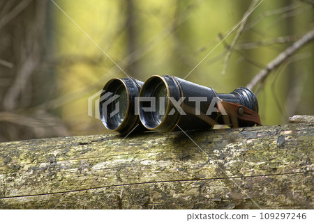 Black vintage binoculars on a tree trunk in the forest 109297246