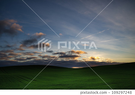 Expansive green field nestled under a breathtaking sunset 109297248