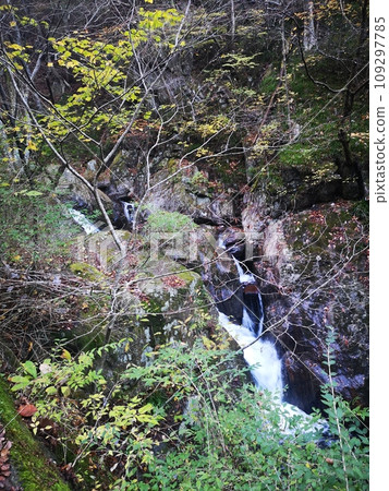 Hanazono Hananuki Prefectural Nature Park 109297785