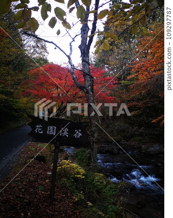 Hanazono Hananuki Prefectural Nature Park 109297787