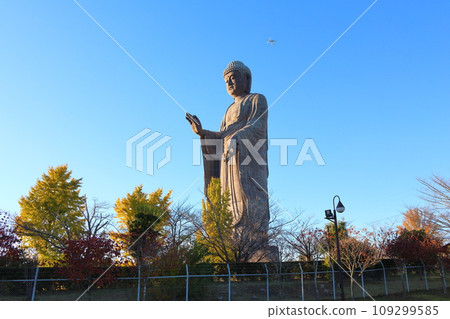 Ushiku Daibutsu Bronze standing Buddha statue, total height 120 meters, Kuno-cho, Ushiku City, Ibaraki Prefecture, Jodo Shinshu Higashi Hongan-ji School Headquarters Higashi Hongan-ji Temple 109299585