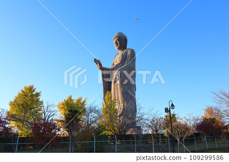 Ushiku Daibutsu Bronze standing Buddha statue, total height 120 meters, Kuno-cho, Ushiku City, Ibaraki Prefecture, Jodo Shinshu Higashi Hongan-ji School Headquarters Higashi Hongan-ji Temple 109299586