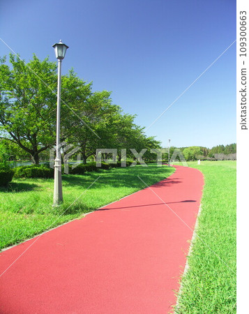 初秋的美里公園風景,有成排的櫻花樹和紅色的步道 初秋的美里公園風景,有成排的櫻花樹和紅色的步道 109300663