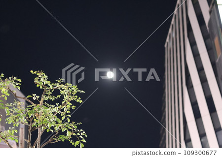 Above the night sky in Tokyo 109300677