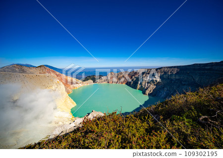 Deadwood Leafless Tree with Turquoise Water Lake,Beautiful nature Landscape mountain and green lake at Kawah Ijen volcano,East Java, Indonesia 109302195