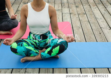 Two young women on yoga mats on wooden background, space for text Two young women on yoga mats on wooden background, space for text 109303213