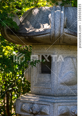 Japanese garden in fall time period 109303835