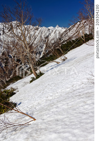 從北阿爾卑斯山卡森嶺上部看到的矢鹿嶽山頂仍殘留著積雪 從北阿爾卑斯山卡森嶺上部看到的矢鹿嶽山頂仍殘留著積雪 109304280