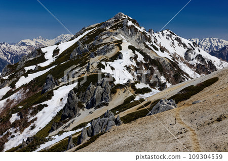 Tsubaku-dake in the Northern Alps with remaining snow seen from near Tsubame-zanso 109304559
