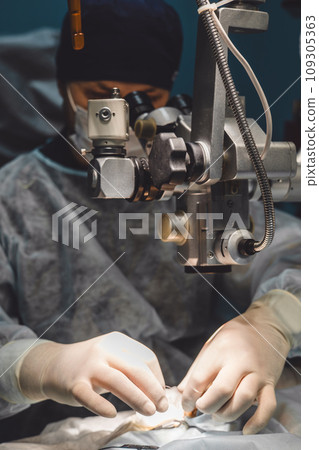 Surgery on a pet's eye under an ophthalmic microscope in a veterinary clinic. A team of veterinary ophthalmologists restores vision to a pet under a microscope. Veterinary ophthalmology concept. 109305363